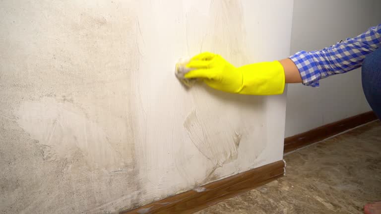 Best Airborne Mold Testing  in Dilley, TX
